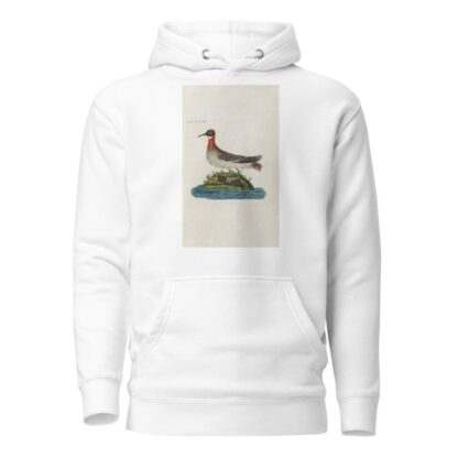 Icones rerum naturalium, ou figures enluminées d’histoire naturelle du nord Pl.20 by Peder Ascanius Hoodie