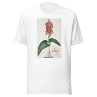 Lachenalia bulbifera by Robert Jacob Gordon T-Shirt