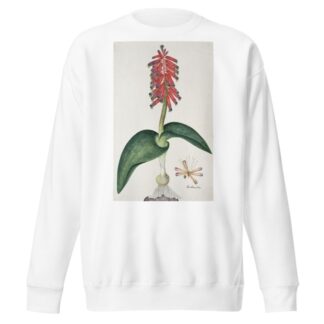 Lachenalia bulbifera by Robert Jacob Gordon Sweatshirt