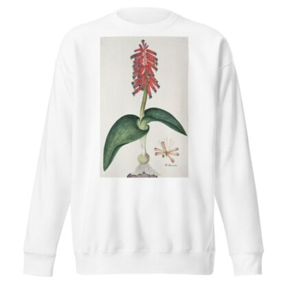Lachenalia bulbifera by Robert Jacob Gordon Sweatshirt