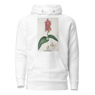 Lachenalia bulbifera by Robert Jacob Gordon Hoodie