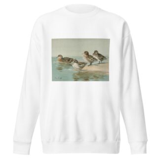 South Georgian Teal, Sharp-Winged Teal, Yellow-Billed Teal, Andean Teal by Allan Brooks Sweatshirt
