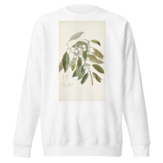 Conyza carolinensis by Nikolaus Joseph Freiherr von Jacquin Sweatshirt