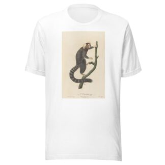 L’Ouistiti by Jean-Baptiste Audebert T-Shirt
