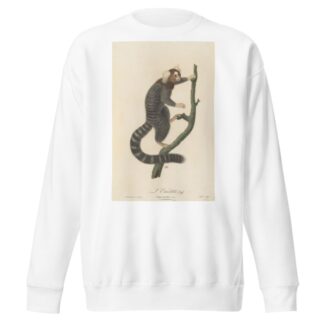 L’Ouistiti by Jean-Baptiste Audebert Sweatshirt
