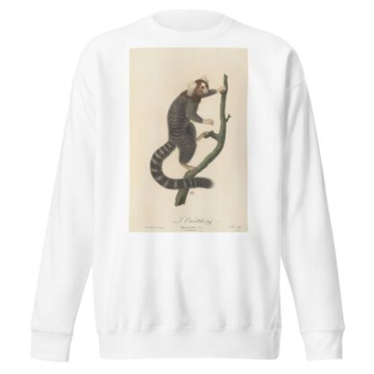 L’Ouistiti by Jean-Baptiste Audebert Sweatshirt