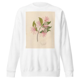Calodendrum capense by Clemenz Heinrich Wehdemann Sweatshirt