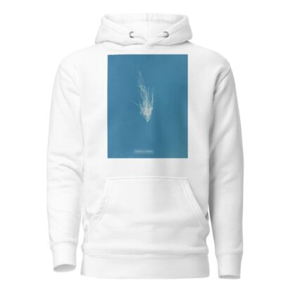 Ectocarpus Mertensii by Anna Atkins Hoodie