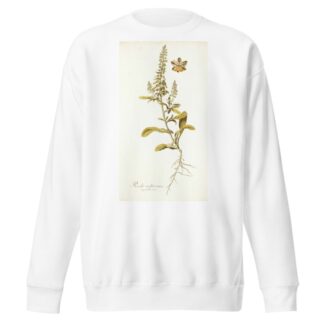 Reseda mediterranea by Nikolaus Joseph Freiherr von Jacquin Sweatshirt