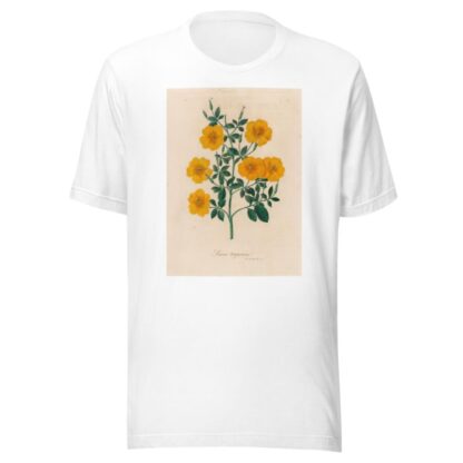 Linum trigynum by Gaetano Savi T-Shirt