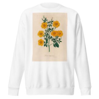 Linum trigynum by Gaetano Savi Sweatshirt