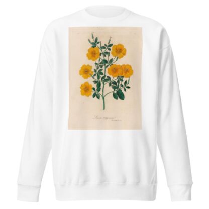 Linum trigynum by Gaetano Savi Sweatshirt
