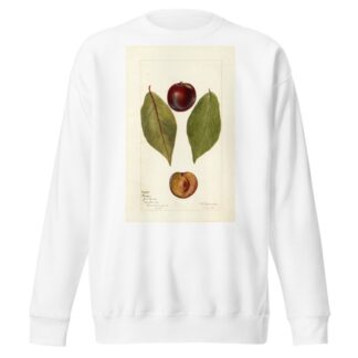 Prunus domestica: Pander by Deborah Griscom Passmore Sweatshirt