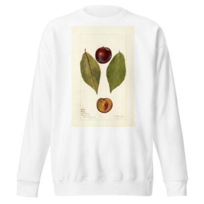 Prunus domestica: Pander by Deborah Griscom Passmore Sweatshirt