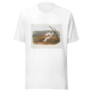 Putorius agilis, Little Nimble Weasel. Male & female. Natural size. Winter pelage. by John Woodhouse Audubon T-Shirt