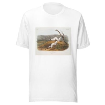 Putorius agilis, Little Nimble Weasel. Male & female. Natural size. Winter pelage. by John Woodhouse Audubon T-Shirt