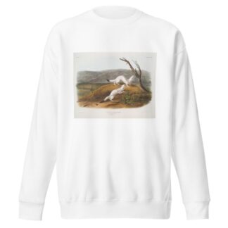 Putorius agilis, Little Nimble Weasel. Male & female. Natural size. Winter pelage. by John Woodhouse Audubon Sweatshirt
