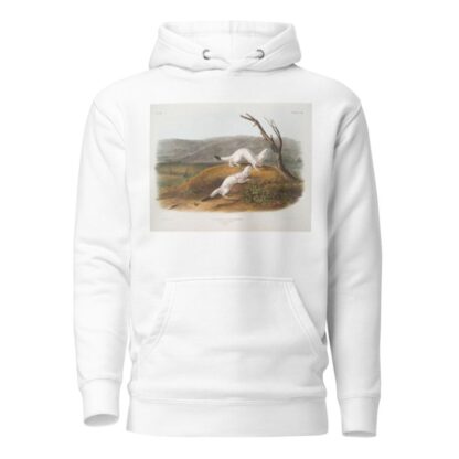 Putorius agilis, Little Nimble Weasel. Male & female. Natural size. Winter pelage. by John Woodhouse Audubon Hoodie