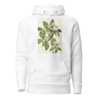 Virginia Stewartia. Stewarti malachodendron by Mary Vaux Walcott Hoodie