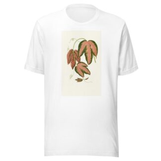 Passiflora Trifasciata by Edward Joseph Lowe T-Shirt