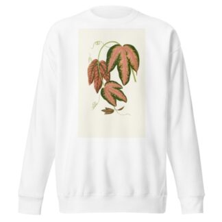 Passiflora Trifasciata by Edward Joseph Lowe Sweatshirt