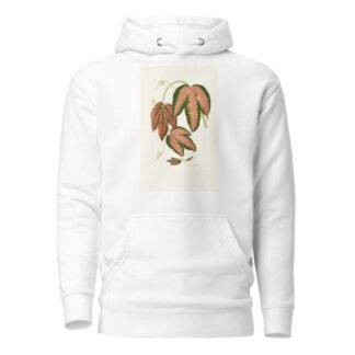 Passiflora Trifasciata by Edward Joseph Lowe Hoodie