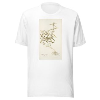 Phlomis zeylanica by Nikolaus Joseph Freiherr von Jacquin T-Shirt