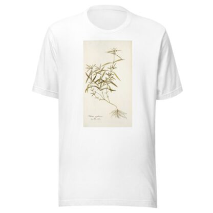 Phlomis zeylanica by Nikolaus Joseph Freiherr von Jacquin T-Shirt