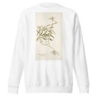 Phlomis zeylanica by Nikolaus Joseph Freiherr von Jacquin Sweatshirt