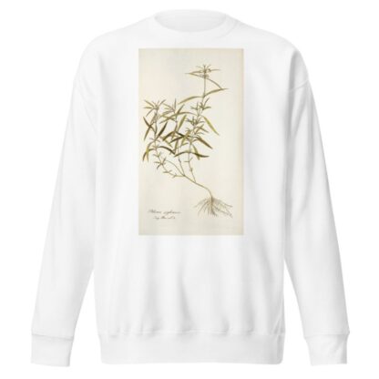 Phlomis zeylanica by Nikolaus Joseph Freiherr von Jacquin Sweatshirt
