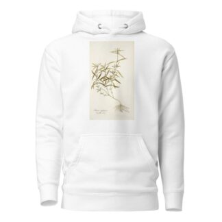 Phlomis zeylanica by Nikolaus Joseph Freiherr von Jacquin Hoodie