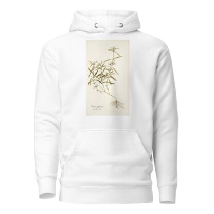 Phlomis zeylanica by Nikolaus Joseph Freiherr von Jacquin Hoodie