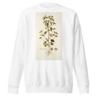 Croton glandulosum by Nikolaus Joseph Freiherr von Jacquin Sweatshirt