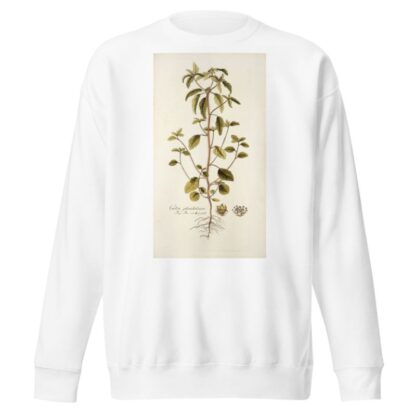 Croton glandulosum by Nikolaus Joseph Freiherr von Jacquin Sweatshirt