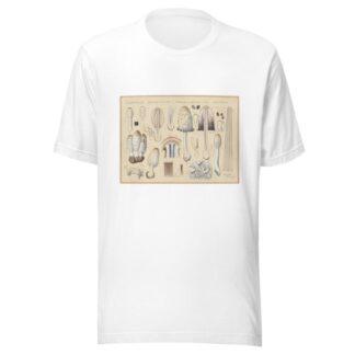 Coprinus comatus Fr., porcellanus Schff. by Hans Walty T-Shirt