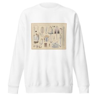 Coprinus comatus Fr., porcellanus Schff. by Hans Walty Sweatshirt