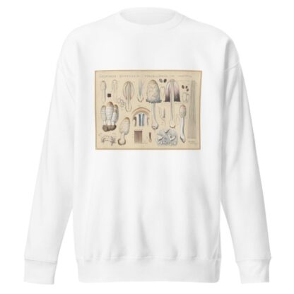 Coprinus comatus Fr., porcellanus Schff. by Hans Walty Sweatshirt