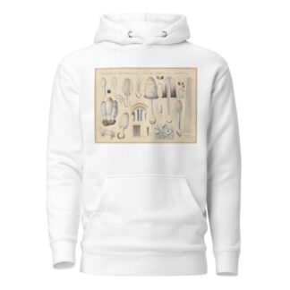 Coprinus comatus Fr., porcellanus Schff. by Hans Walty Hoodie