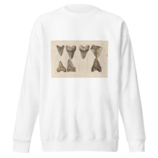 Recherches sur les poissons fossiles Pl.311 by Louis Agassiz Sweatshirt