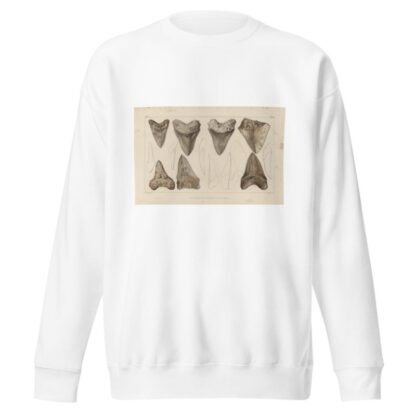 Recherches sur les poissons fossiles Pl.311 by Louis Agassiz Sweatshirt