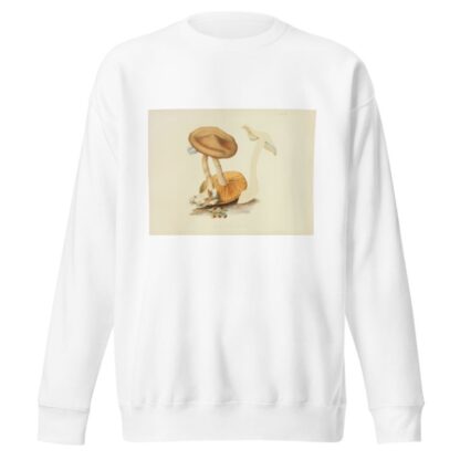 Illustrations of British mycology Pl.19 by Anna Maria Hussey Sweatshirt