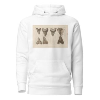 Recherches sur les poissons fossiles Pl.311 by Louis Agassiz Hoodie