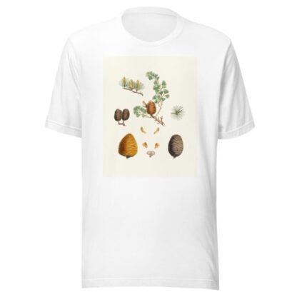Pinus deodara = Indian cedar by Aylmer Bourke Lambert T-Shirt