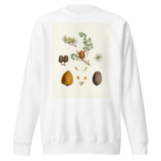 Pinus deodara = Indian cedar by Aylmer Bourke Lambert Sweatshirt