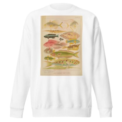 Great Barrier Reef Fishes II by William Saville-Kent Sweatshirt