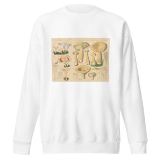 Clitocybe obsoleta, Clitocybe geotropa by Hans Walty Sweatshirt