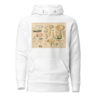 Clitocybe obsoleta, Clitocybe geotropa by Hans Walty Hoodie