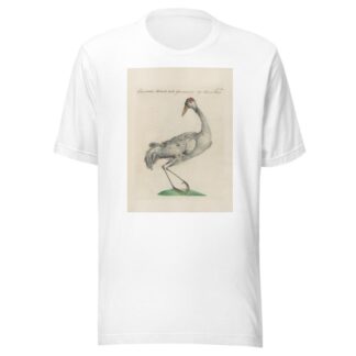 Ornithologia methodice digesta Pl.397 by Saverio Manetti T-Shirt