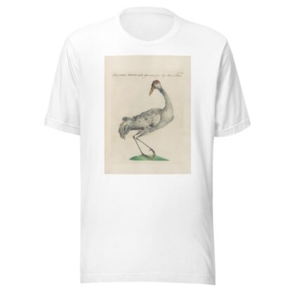 Ornithologia methodice digesta Pl.397 by Saverio Manetti T-Shirt