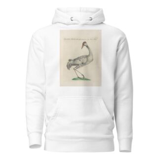 Ornithologia methodice digesta Pl.397 by Saverio Manetti Hoodie
